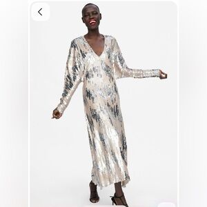 Zara Sequin Midi Dress